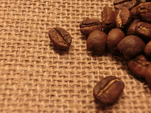 �����ҡ� ��̣ ����,��̣����,�����ҡ�,�ѥå�����,���� ���