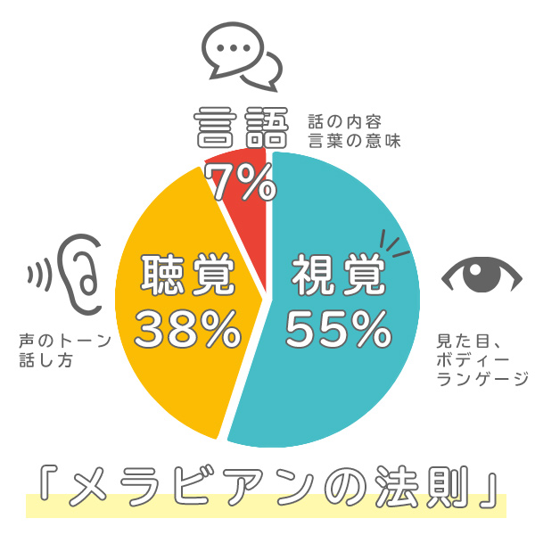 ���ӥ����ˡ§ �ѥå����� �ǥ�����